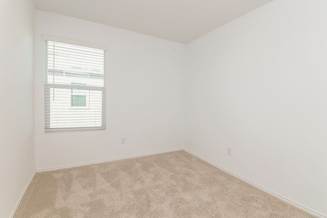 235 Plumcove Drive, Princeton, TX 75407