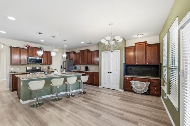 1133 Spanish Moss Drive, Savannah, TX 76227