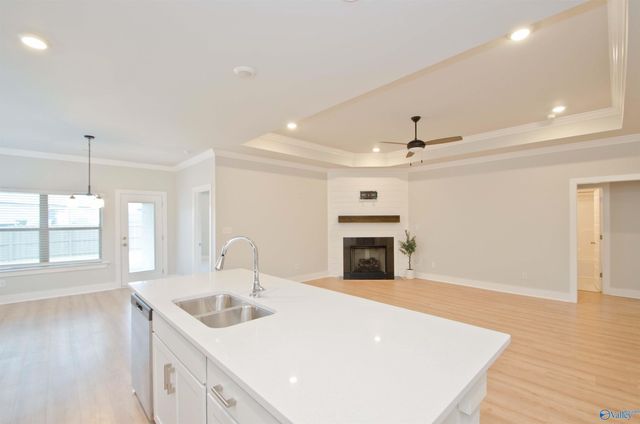 21779 Natures Cove Drive, Athens, AL 35613