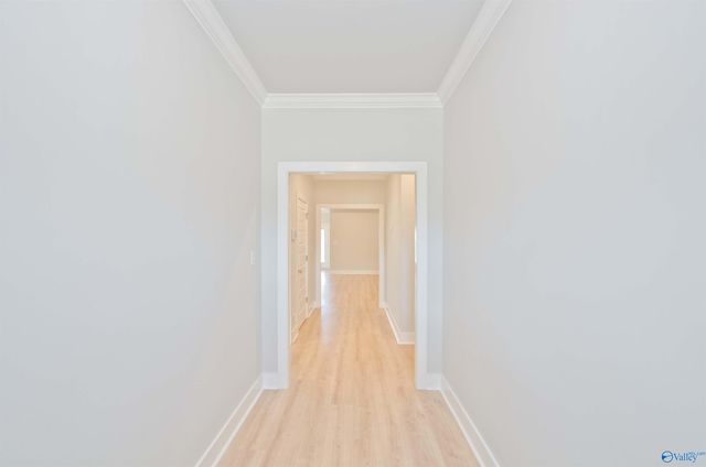 21779 Natures Cove Drive, Athens, AL 35613