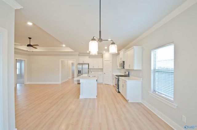 21779 Natures Cove Drive, Athens, AL 35613