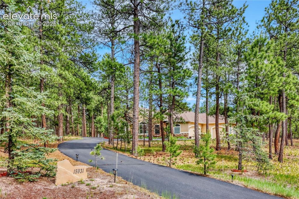 15931 Waving Branch Way, Colorado Springs, CO 80908 — photo 3