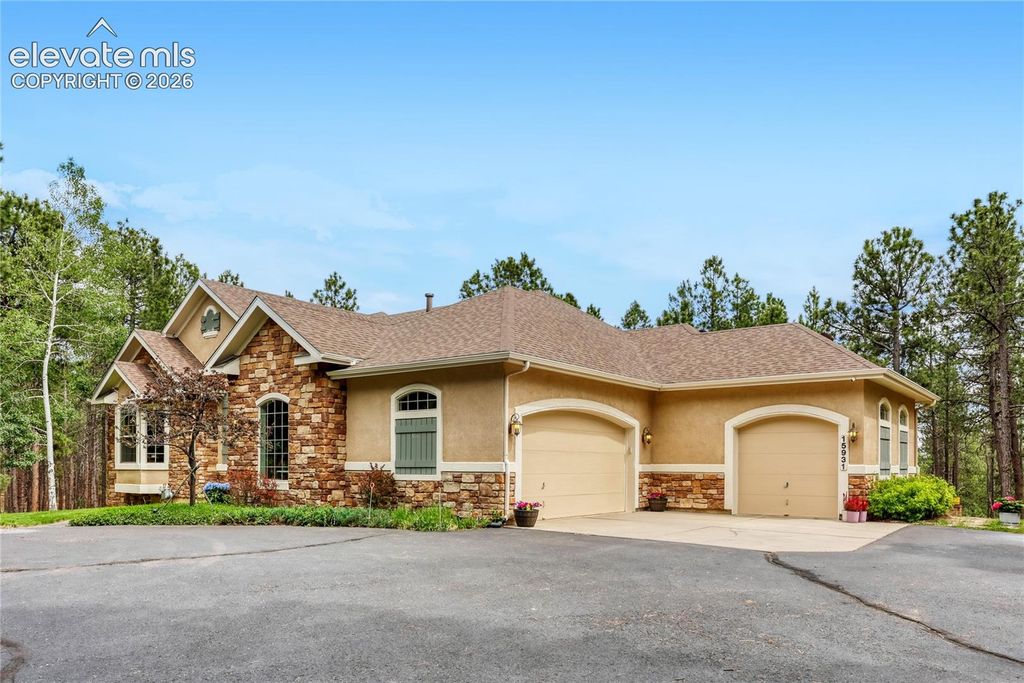 15931 Waving Branch Way, Colorado Springs, CO 80908 — photo 5