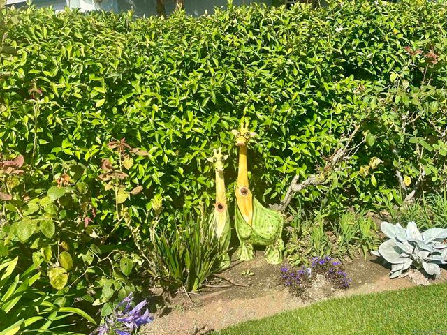 5741 Chelsea Ave, La Jolla, CA 92037