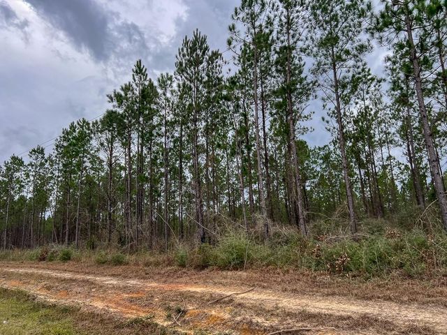 T-4 Farm To Market 1012, Newton, TX 75966