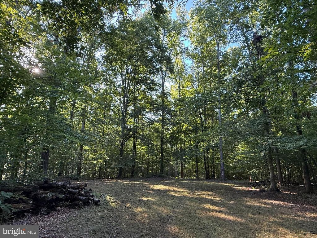 LOT 79B EVERETT LN, Louisa, VA 23093