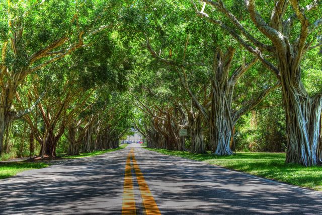 226 Moccasin Trail W, Jupiter, FL 33458