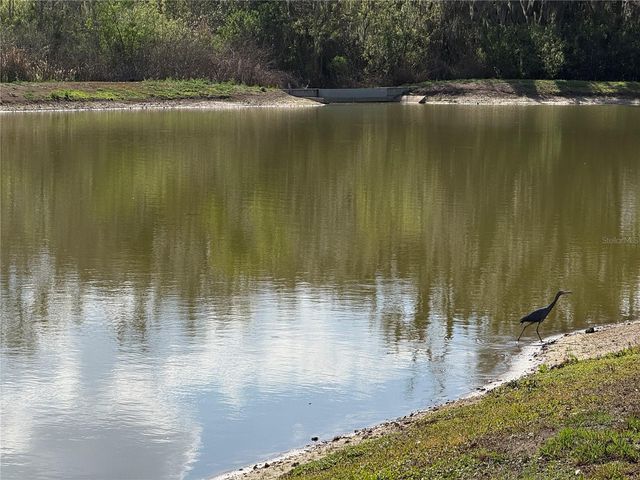 3887 SPRUCE CREEK DRIVE, Lakeland, FL 33811