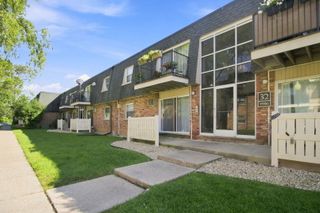 9986 S 84th Terrace 103, Palos Hills, IL 60465