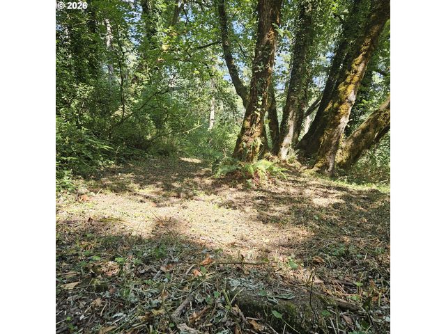 0 Washougal River Rd 103, Washougal, WA 98671