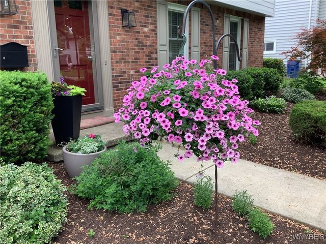 146 Bridle Path, Amherst, NY 14221