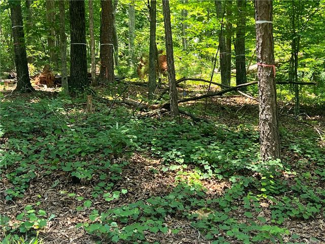 00 Promontory Ridge Lot 45 Stillwater, Seneca, SC 29672