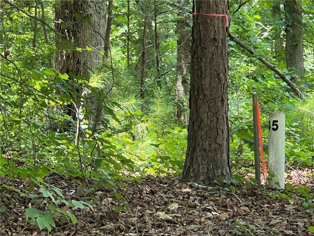 00 Promontory Ridge Lot 45 Stillwater, Seneca, SC 29672