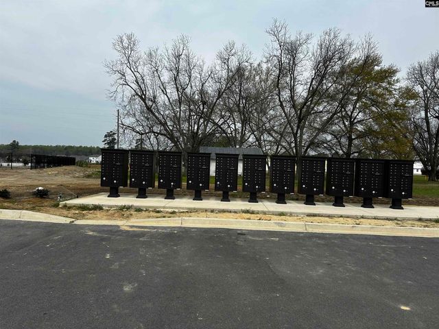 702 Clementine Run, Gilbert, SC 29054