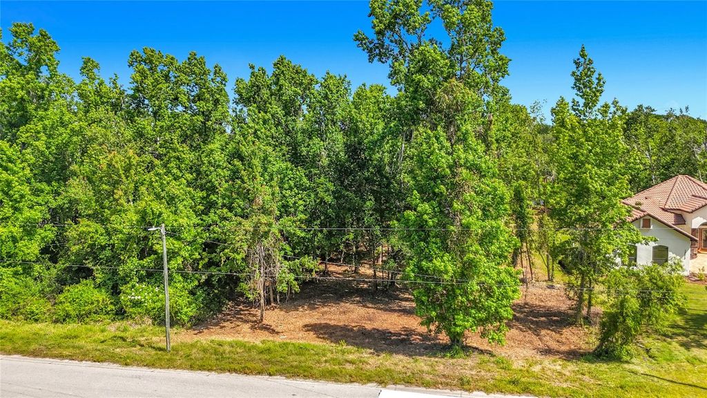 LOT 19 LAKE HILLS DR., Riverview, FL 33569