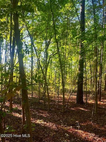 0 Sr 1901, Aurora, NC 27806