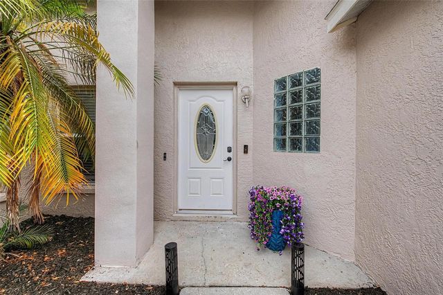 655 SAND RIDGE DRIVE, Valrico, FL 33594
