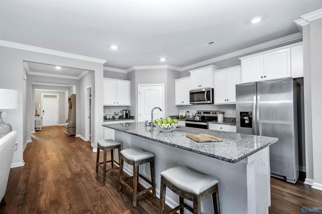 500 East River Landing Blvd SW, Madison, AL 35758