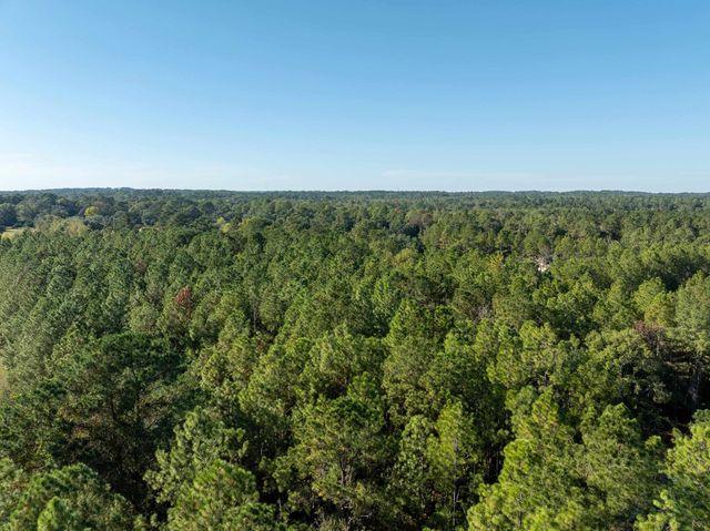 FARAWAY FARM Road, Tallahassee, FL 32317