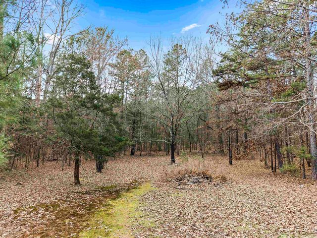 1122 Buckville Road, Jessieville, AR 71949