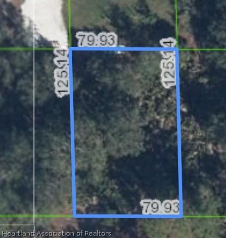 107 EDENWALT Avenue NW, Lake Placid, FL 33852