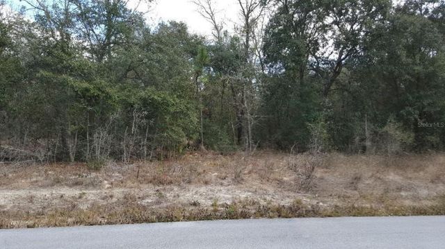 0 SE 88TH CT, Summerfield, FL 34491
