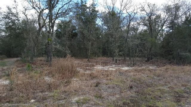0 SE 88TH CT, Summerfield, FL 34491