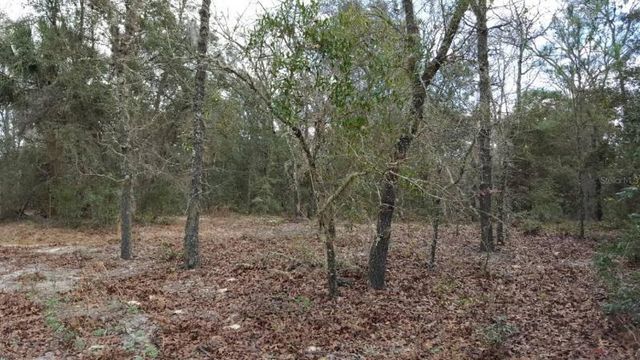 0 SE 88TH CT, Summerfield, FL 34491