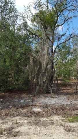 0 SE 88TH CT, Summerfield, FL 34491