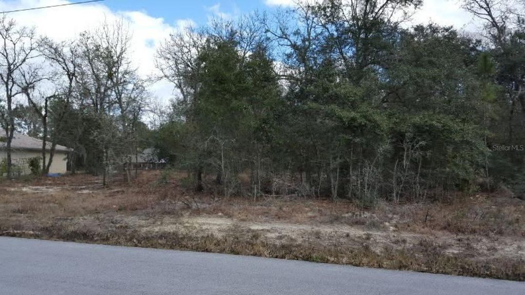 0 SE 88TH CT, Summerfield, FL 34491