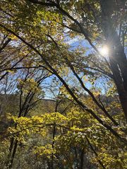 1304 Sycamore Valley Rd, Ashland City, TN 37015