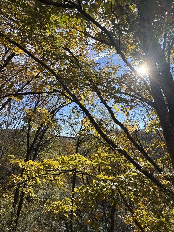 1304 Sycamore Valley Rd, Ashland City, TN 37015