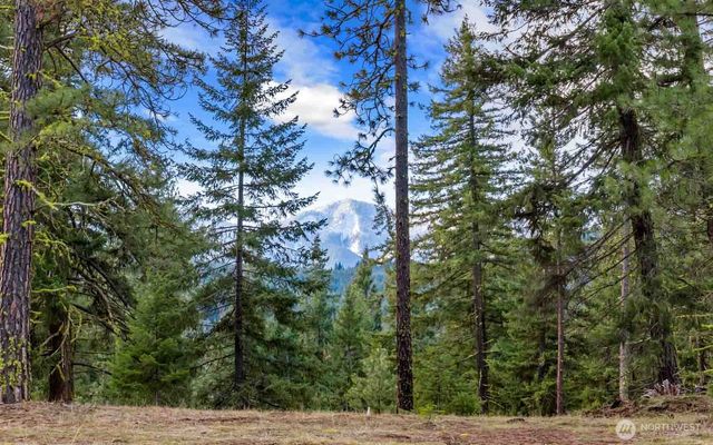 17 Wanawish Loop, Cle Elum, WA 98922