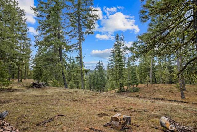 17 Wanawish Loop, Cle Elum, WA 98922