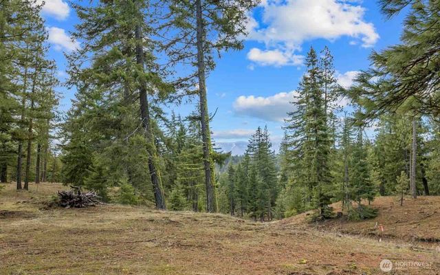 17 Wanawish Loop, Cle Elum, WA 98922