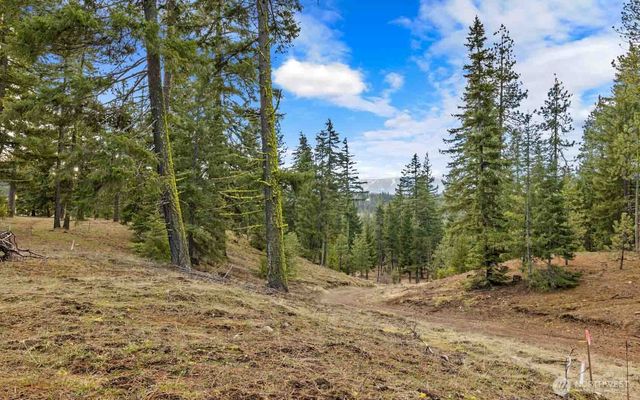 17 Wanawish Loop, Cle Elum, WA 98922
