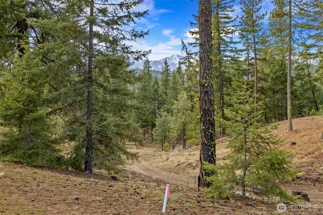 17 Wanawish Loop, Cle Elum, WA 98922