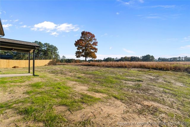 183 Mahogany Court, Cameron, NC 28326