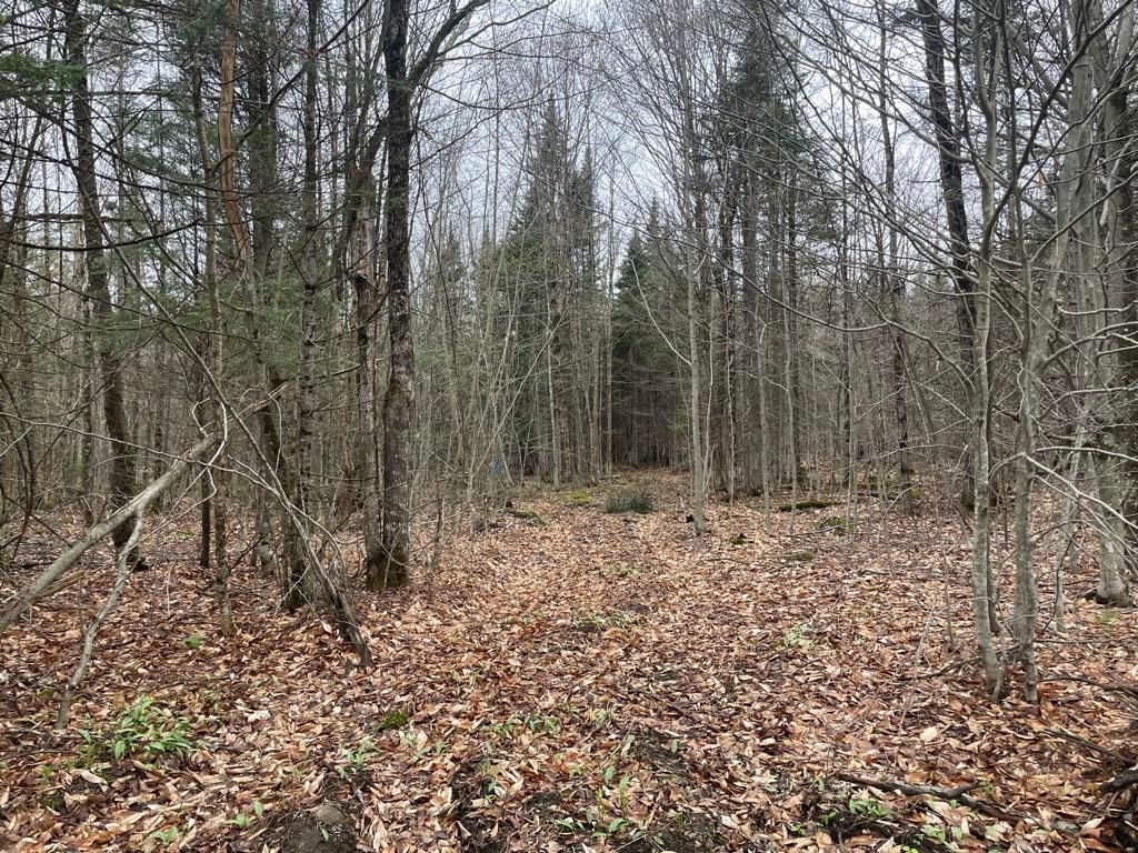 2319 East Hill Road, Woodbury, VT 05681