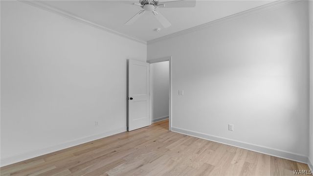 13966 Glenview, Northport, AL 35475