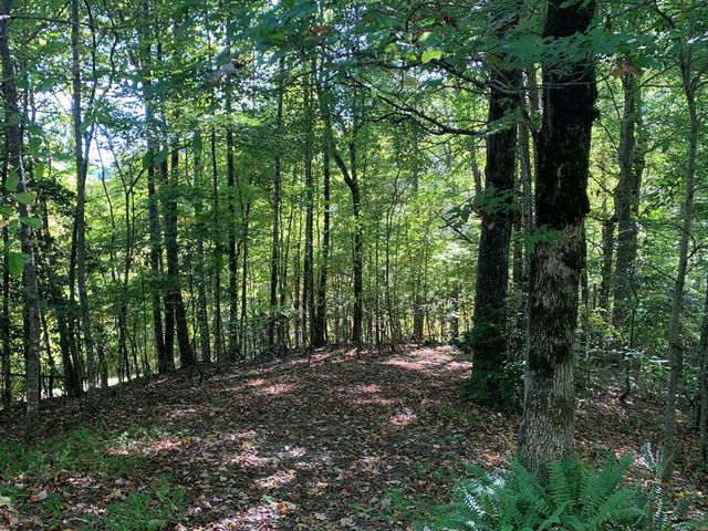 437&441 2 Homes Shields Creek Road, Topton, NC 28781