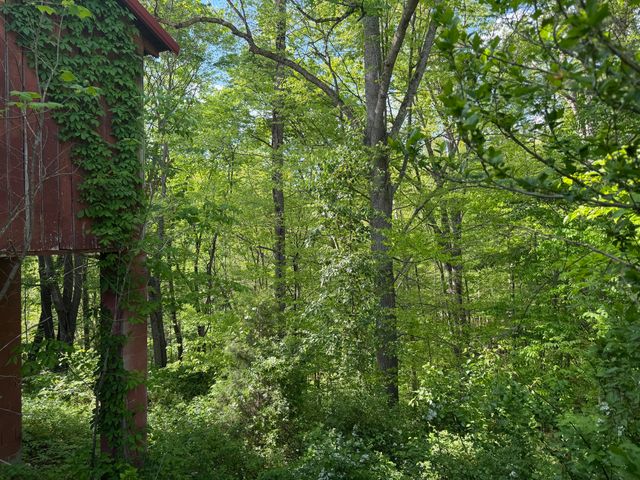 7478 KY-80, Manchester, KY 40962