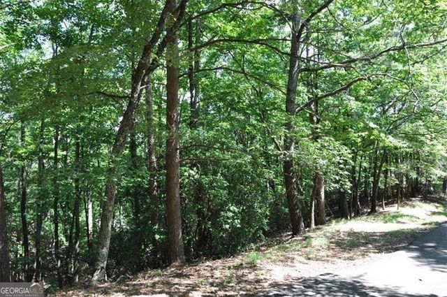 64 Wrens Nest, Big Canoe, GA 30143