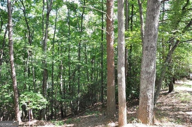 64 Wrens Nest, Big Canoe, GA 30143