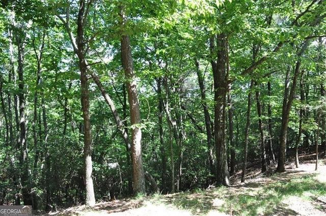 64 Wrens Nest, Big Canoe, GA 30143