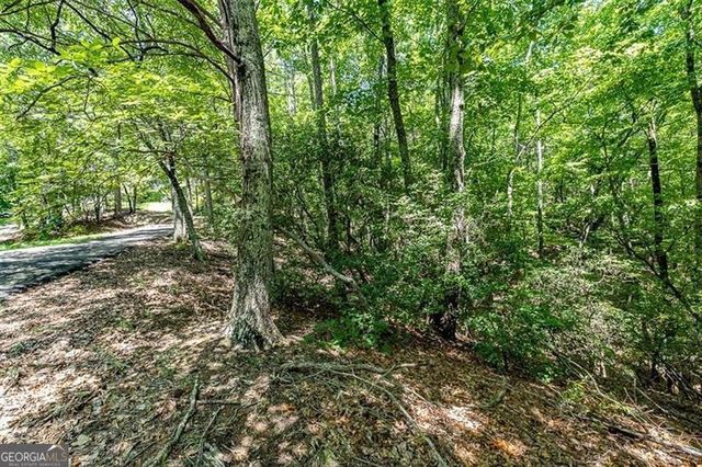 64 Wrens Nest, Big Canoe, GA 30143