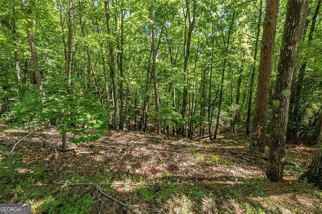 64 Wrens Nest, Big Canoe, GA 30143