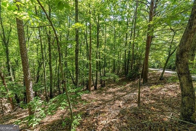 64 Wrens Nest, Big Canoe, GA 30143