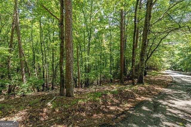 64 Wrens Nest, Big Canoe, GA 30143