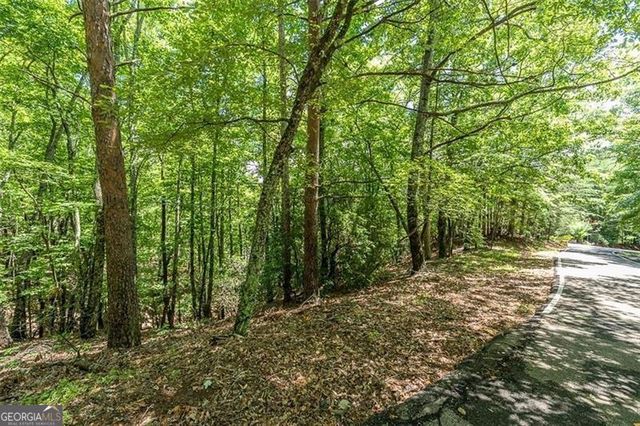 64 Wrens Nest, Big Canoe, GA 30143